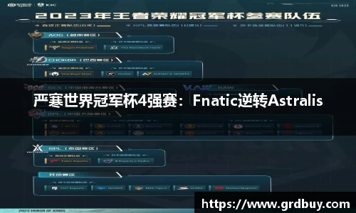 严寒世界冠军杯4强赛：Fnatic逆转Astralis